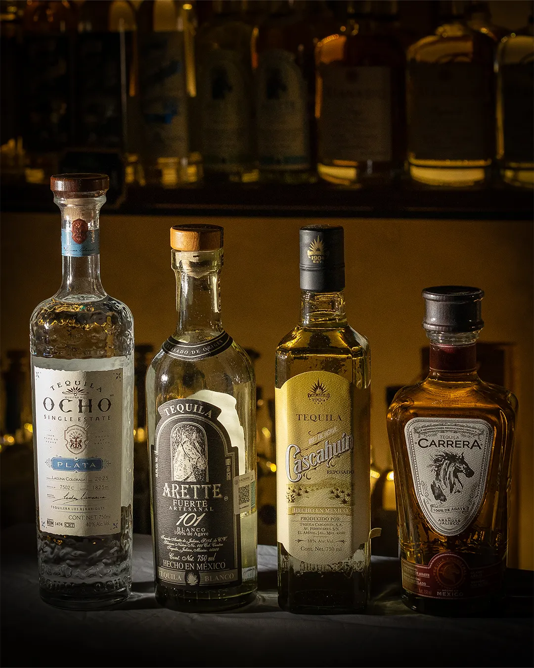 Introducción al Tequila